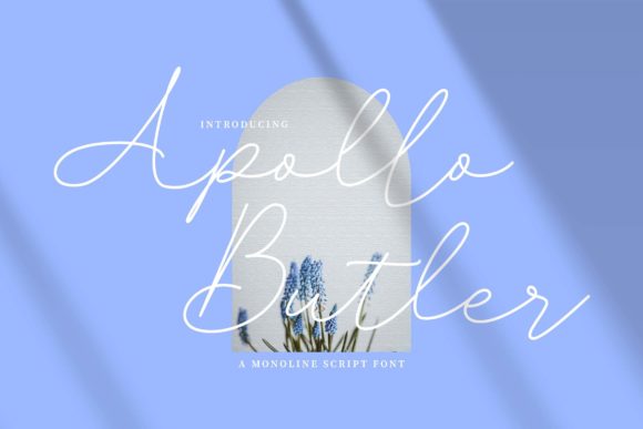Apollo Butler: A Delicate Script Font for Web Design