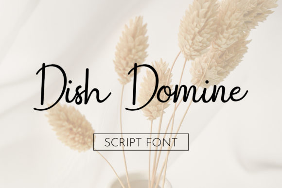Dish Domine: A Script Font That Speaks With Confidence