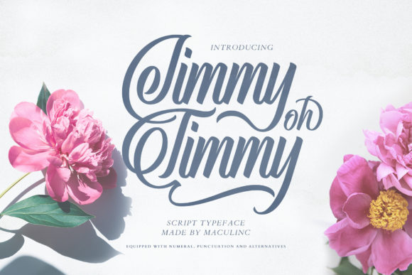 Jimmy Oh Timmy Font Review for Branding Projects