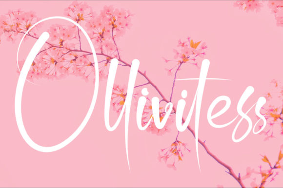 Ollivitess Script Font for Digital Marketing