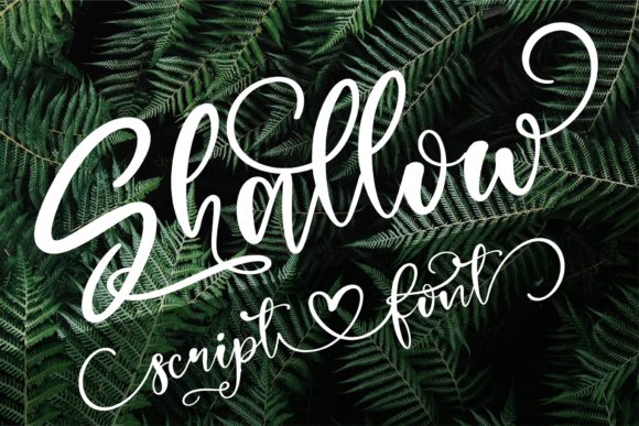 Shallow Font for Editorial Design and Content Creation